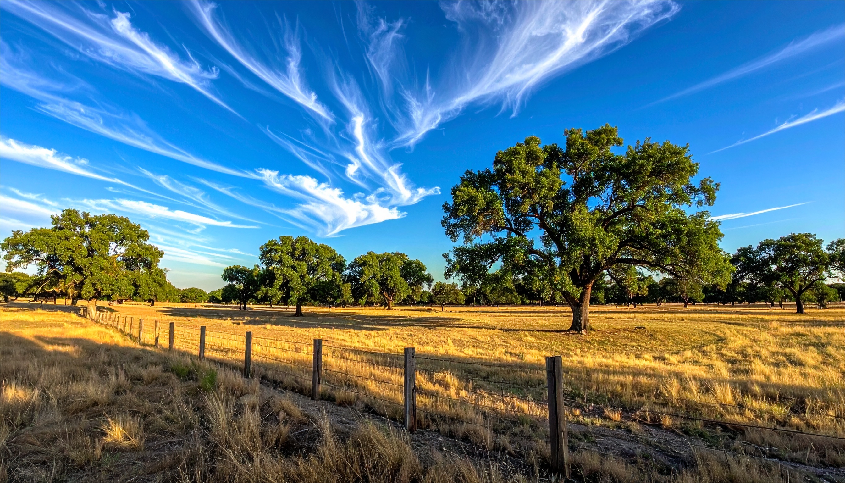 Cleared land lot ready for development